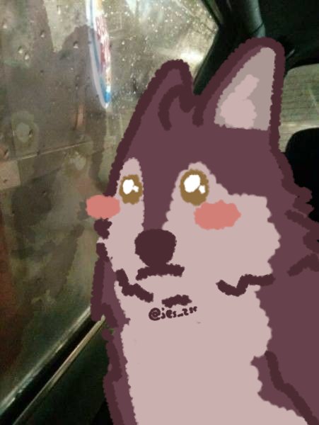 jes_zsc's tweet photo. 🐺 https://t.co/I2BcSRvjyo