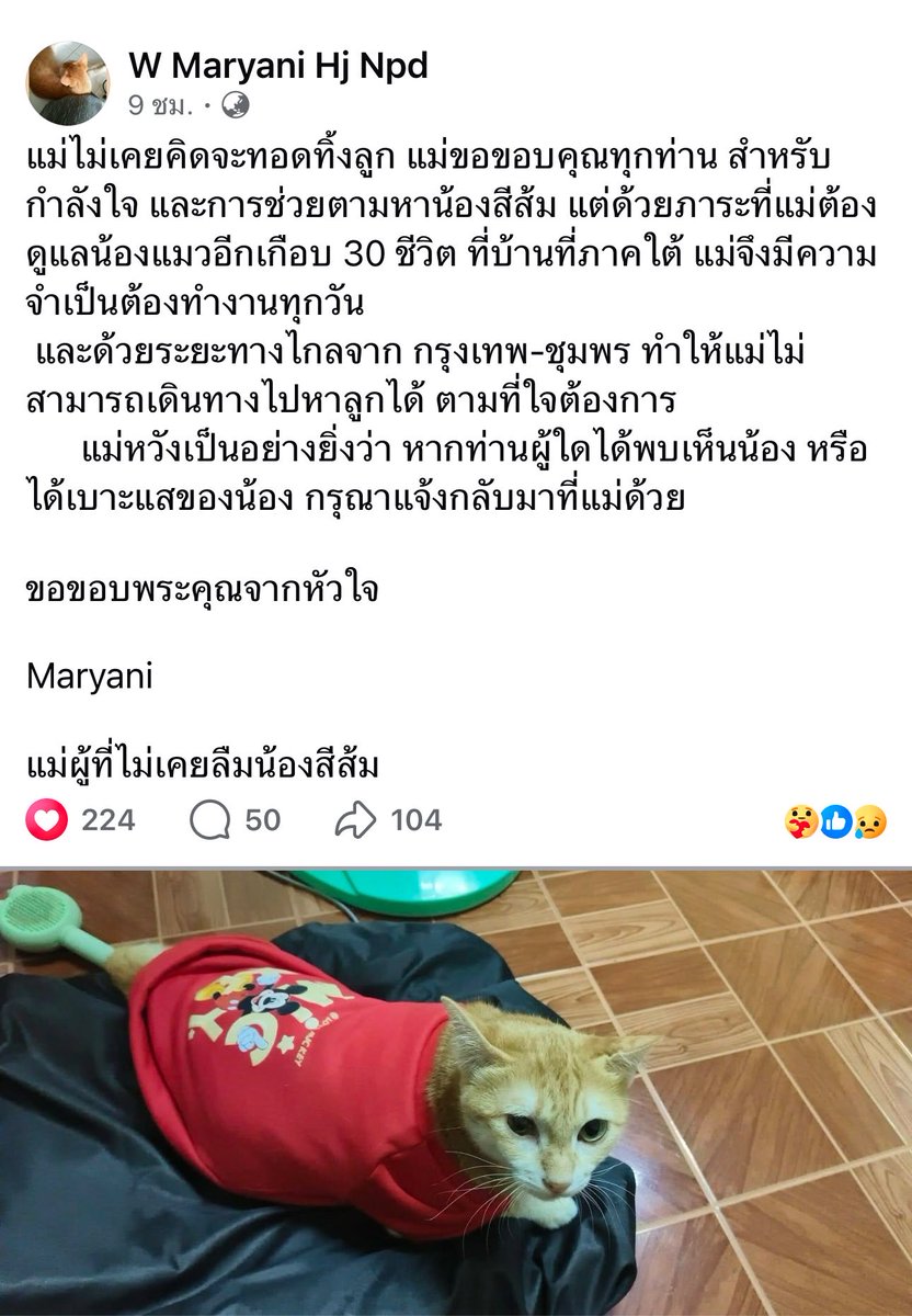 tonever22's tweet photo. เป็นกำลังใจให้คุณแม่น้องสีส้มนะคะ เราเองก็เป็นคนหนึ่งที่ติดตามเรื่องราวน้องสีส้ม #แมวหายบนรถไฟ ตามทุกวัน ส่งกำลังใจให้ทุกวัน เราเข้าใจดี ว่าทุกคนมีภาระต้องรับผิดชอบ ต้องทำงาน เราเองก็เป็นคนหนึ่ง ที่มีภาระรับผิดชอบ แล้วก็ต้องทำงาน ลูกเราเลี้ยงมาเราก็รักเนอะ อย่าได้ไปสนใจความคิดหรือคำพูดของคนอื่นเลย ✌🏻🧡