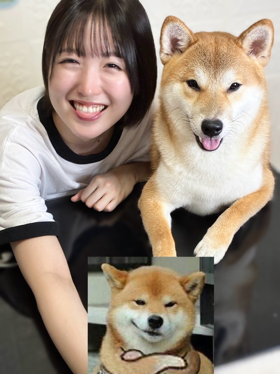 KOTONE_YAB's tweet photo. 今日もSHOWROOM配信ありがとう❣️
こちらが柴犬のジョンくんです🐕
たくさん新しい出会いがあって嬉しかった〜！
これからよろしくね☀️ https://t.co/ZaPWKMH0Wc