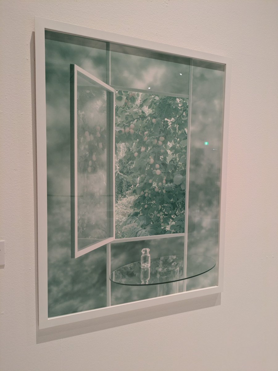 taji_taji_kun's tweet photo. 練馬区立美術館でやってる寺田真由美展行ってきた。リミナルスペース感のある作品を、ほとんど人のいない環境で鑑賞するという体験含めてよかった。練馬区立美術館は小さな美術館だけど、いい展示をやってくれてありがたい。 https://t.co/vPefLDwmUc