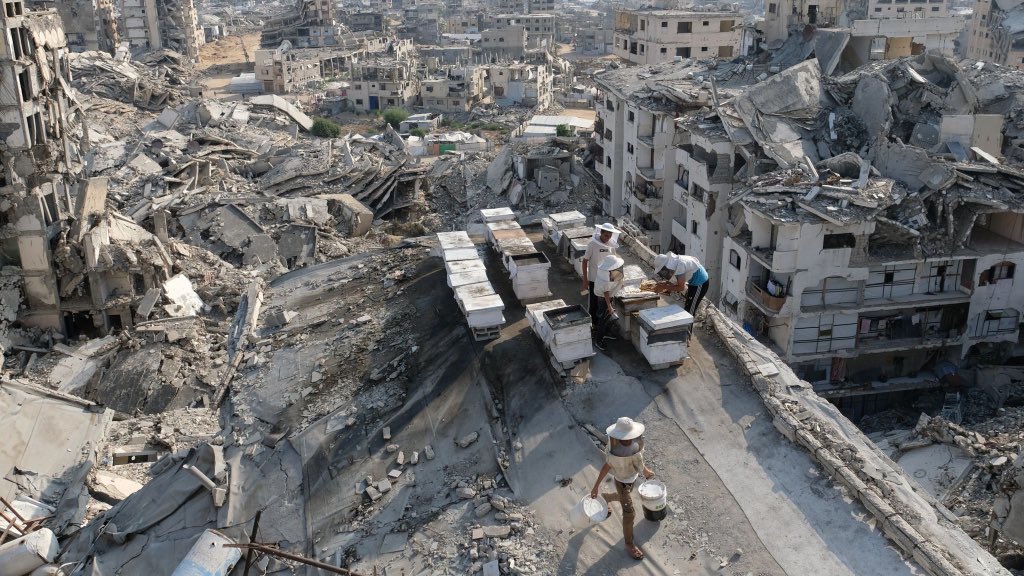 Bogeremasembe's tweet photo. Uganda’s Gaza Deployment Could Face Delay as Netanyahu Rejects Trump Peace Plan.

The deployment of Ugandan forces to Gaza, recently approved by Parliament, could face delays following Israeli Prime Minister Benjamin Netanyahu’s rejection of key elements of a 15-point Gaza plan proposed by US President Donald Trump’s Board of Peace.

Speaking during Sunday’s weekly cabinet meeting, Netanyahu said Israel would not withdraw its forces from Gaza until Hamas is fully disarmed.

He insisted that disarmament must include all weapons, including heavy and less-heavy weapons, and must be “real disarmament, not fictitious disarmament.”

Netanyahu also rejected calls for the establishment of a Palestinian state, saying that as long as he remains prime minister, there will be no Palestinian state in Gaza or the West Bank.

He further warned that Iran would not be allowed to acquire nuclear weapons.

While acknowledging discussions with the United States over the Gaza situation, Netanyahu said Israel accepts some of Washington’s proposals but rejects others, insisting that Israel would stand firm on issues it considers critical to its security.

The hardline position could complicate the implementation of any proposed international security or peacekeeping arrangement in Gaza, including Uganda’s planned deployment, depending on the final terms and conditions agreed by the parties involved.