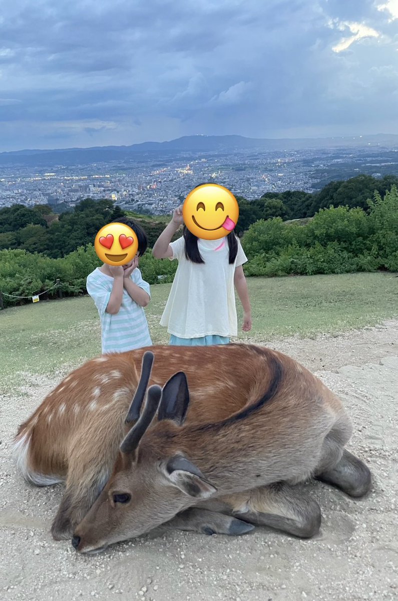 YuukiRay's tweet photo. 子供らと鹿の王 https://t.co/43NDSlHxjZ