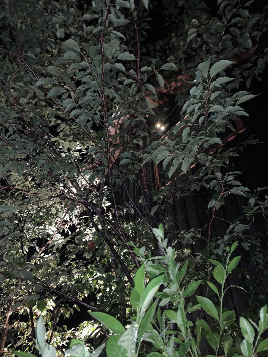 K44Ijw's tweet photo. https://t.co/b1k5uuOz3f