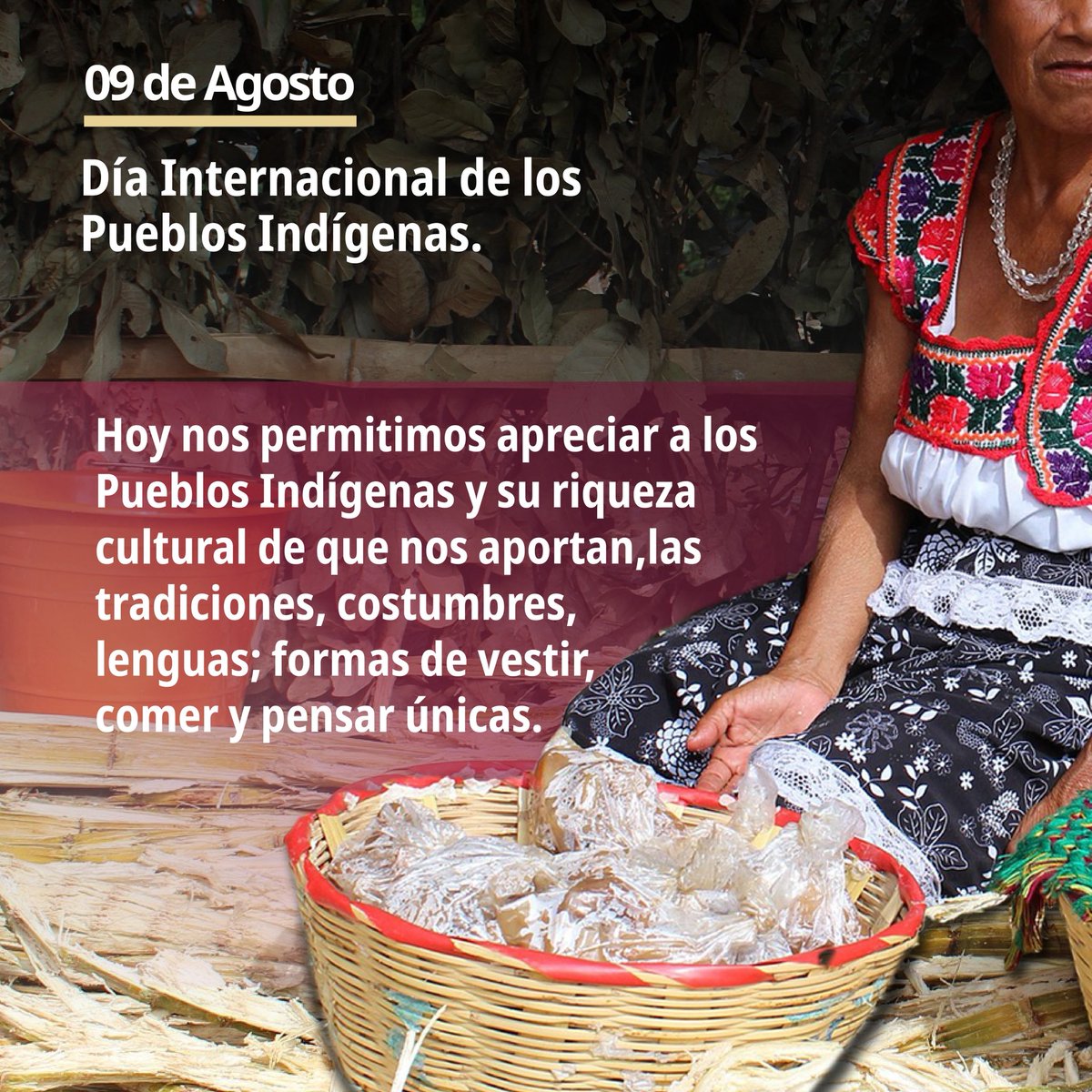 INDAABIN's tweet photo. En el Día Internacional de los Pueblos, celebramos la riqueza de sus culturas, lenguas, tradiciones y saberes que forman parte de nuestra identidad. https://t.co/C6pFJczlbm