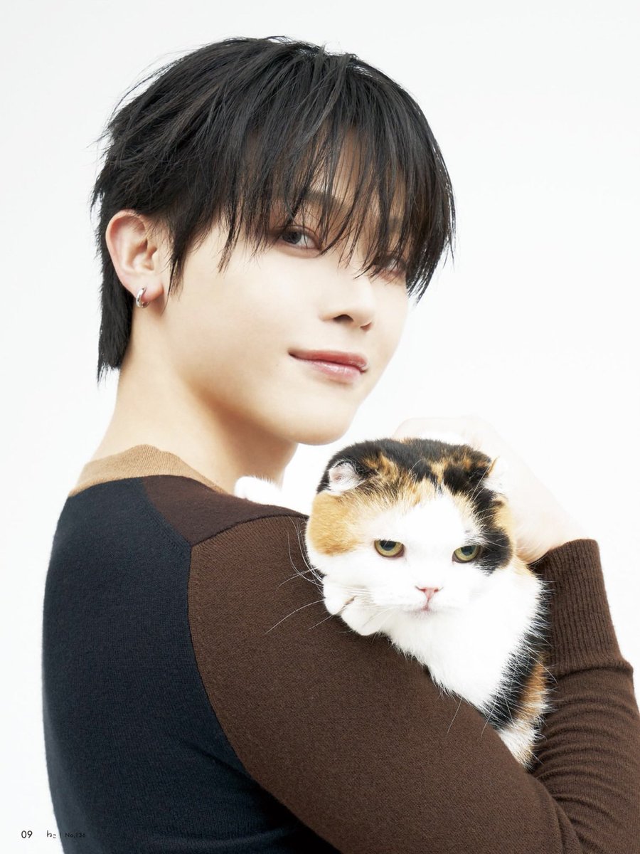a7934641590234's tweet photo. ねこ No. 136 #니콜라스 https://t.co/xiEa2cci25