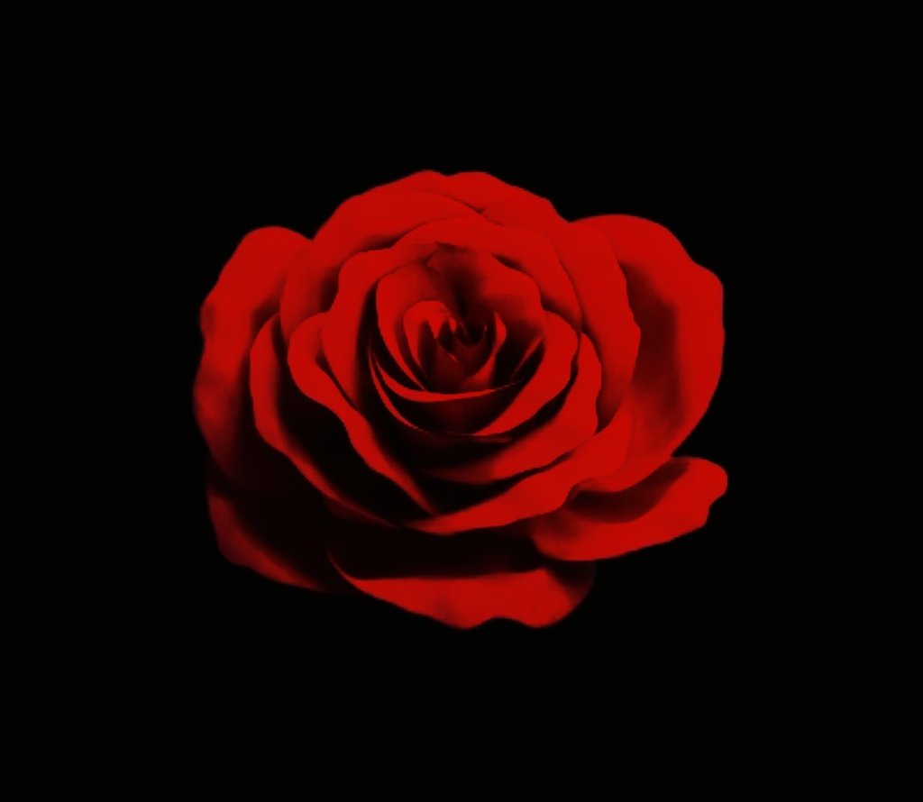 Koochan_luv0614's tweet photo. *̣̥☆·͙̥‧‧̩̥·‧•̥̩̥͙‧·‧̩̥‧·͙̥̣☆*̣̥*̣̥☆·͙̥‧‧̩̥·‧•̥̩̥͙‧·‧̩̥‧·͙̥̣☆*̣̥

            𝐌𝐞𝐭𝐞𝐨𝐫𝐢𝐭𝐞𝐬
                  𝟐𝐧𝐝 𝐀𝐧𝐧𝐢𝐯𝐞𝐫𝐬𝐚𝐫𝐲

☆═━┈┈　★═━┈┈　☆═━┈┈

꙳☄︎  #めておら2周年
꙳☄︎  #めておら
꙳☄︎  #ロゼみて
꙳☄︎  #ロゼくん https://t.co/AfmHalptmm