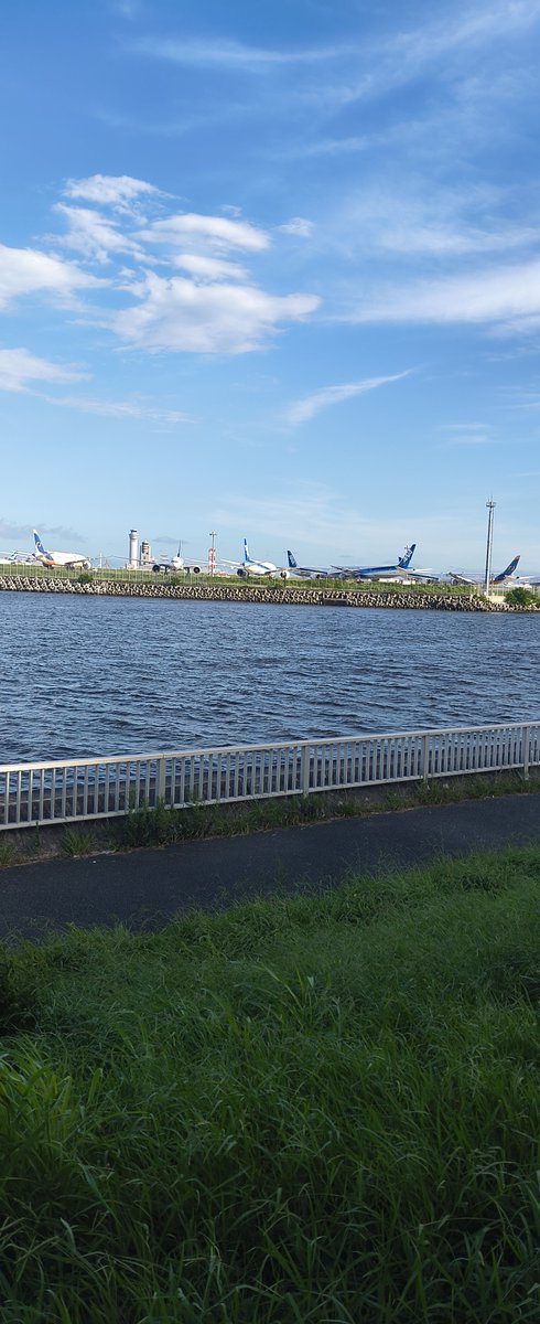 thirstofheart's tweet photo. 京浜島つばさ公園に来ました‼️🚲🚲🚲
此処からは
羽田空港✈️の飛行機✈️の離着陸を
間近で見ることができます‼️✈️✈️✈️
園内では
バーベキュー🍖等を
楽しむ人達が何人かいました。

#京浜島つばさ公園 https://t.co/chFDDIdQYc