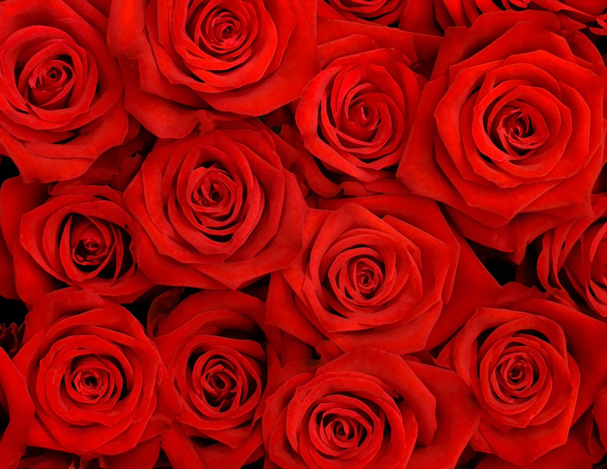 __yurose159's tweet photo. 0:00 ─────⋆★⋆───── 8:10
 　　 　⇆      ◁     ❚❚     ▷      ↻  
       
            𝑀𝑒𝑡𝑒𝑜𝑟𝑖𝑡𝑒𝑠 𝟐𝑛𝑑 𝐴𝑛𝑛𝑖𝑣𝑒𝑟𝑠𝑎𝑟𝑦

1枚目:めておら6人へ
2枚目:ロゼくんへ

💫 #めておら2周年
🌹 #ロゼみて https://t.co/FZCLG6qESB