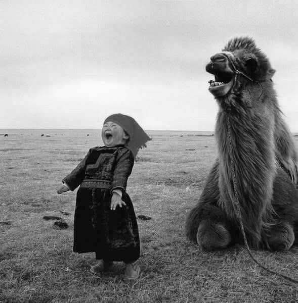 Hana_b30's tweet photo. Mongolian Girl Has a Laugh with her Camel.
The little girl’s name is Butedmaa and she was just 5 when this picture was taken in 2003 by photographer Han Chengli, who titled it “Inner Mongolian Child”. https://t.co/8SNLEQCOzo