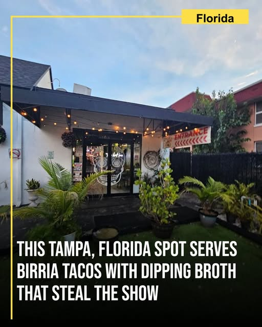 Judy56Williams's tweet photo. Crispy edges give way to rich, tender birria at this Tampa favorite, but the deeply savory dipping broth is what makes the Florida meal unforgettable. https://t.co/SeXxbPYZ0Y