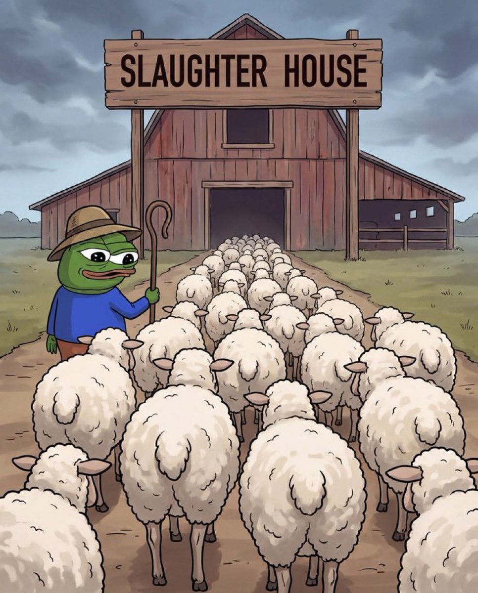 Schoen_xyz's tweet photo. @slingoorio $sheep coin coded https://t.co/R4rArhsc50