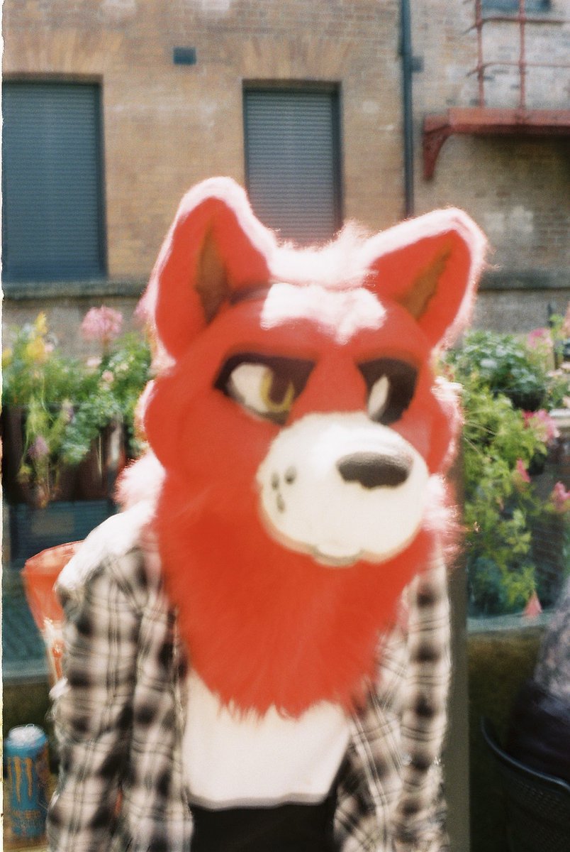 JezzerJizzFox's tweet photo. Took my RICOH KR-10 to Mancfurs yesterday and went to develop the photos

Many of them are super washed and blurry but I genuinely love the look of it, maybe I can perfect the washed look for more unique photos…

Anyway here’s a small thread of the ones I took of me!! v

#furry #furryad #gay #mancfurs