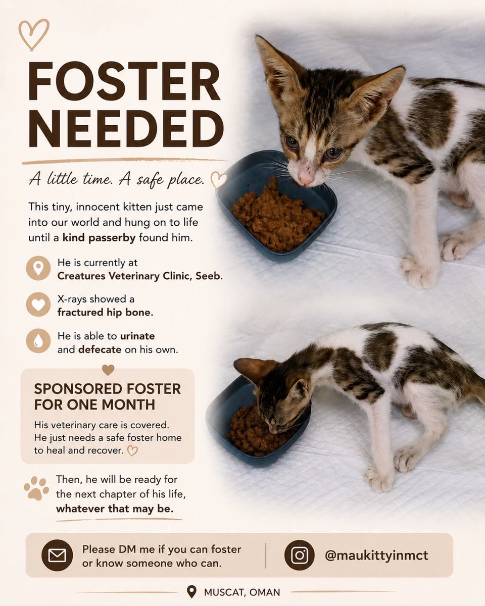 MuscatRescue's tweet photo. https://t.co/W1Dqkp6jPy