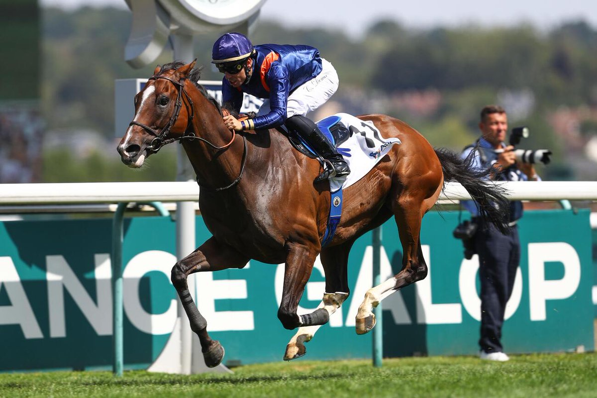canalturf's tweet photo. 🏁Arrivée Quinté+ #pmu Grand Handicap de Deauville à Deauville le 09/08/2026
🥇HALF HALF, signé David Smaga 
▶️https://t.co/wOVmfHrEr4 #resultatspmu #rapportspmu #resultatsDeauville