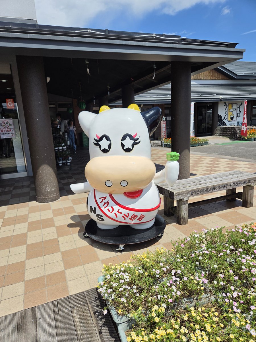 JpnSetsuko's tweet photo. Training camp in Nasu. https://t.co/qWNwcjCxIv