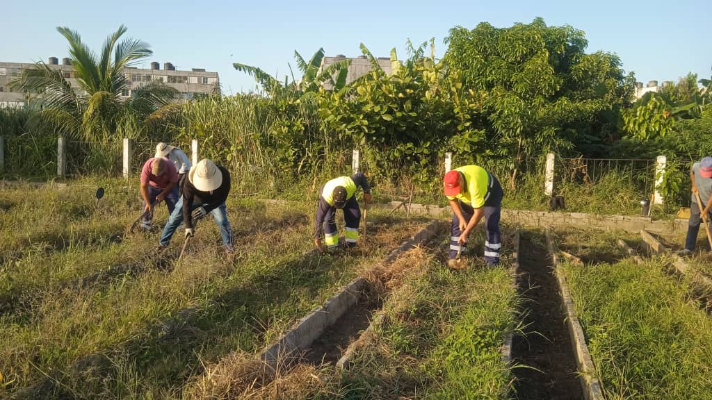 RubenLlogaCTC's tweet photo. En vísperas de #100AñosConFidel, trabajadores de #PinardelRío participan en jornada de trabajo voluntario en diferentes frentes de la agricultura y la higiene comunal.
#FidelViveEntreNosotros https://t.co/TvAiRihFyn