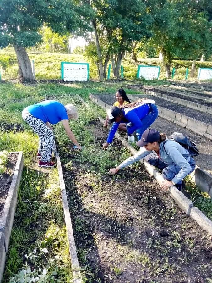 RubenLlogaCTC's tweet photo. En vísperas de #100AñosConFidel, trabajadores de #PinardelRío participan en jornada de trabajo voluntario en diferentes frentes de la agricultura y la higiene comunal.
#FidelViveEntreNosotros https://t.co/TvAiRihFyn