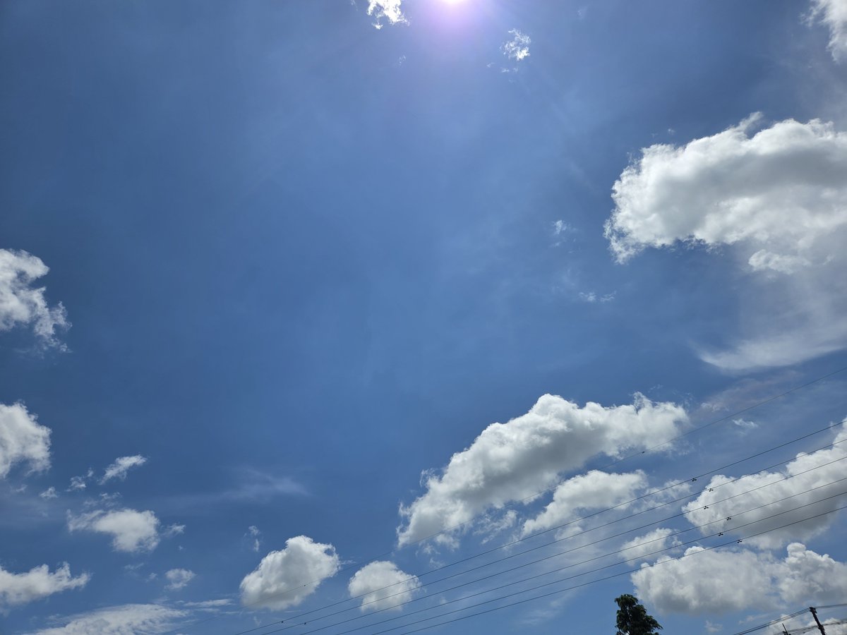 JpnSetsuko's tweet photo. 🚴🚴‍♂️
Training camp in Nasu. https://t.co/jgaBGHIL5N