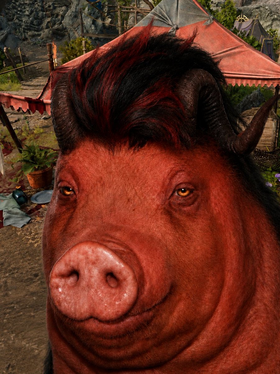 cyclepath60's tweet photo. Baldur's Gate 3 wigger pigs https://t.co/TgtDV87Ihu