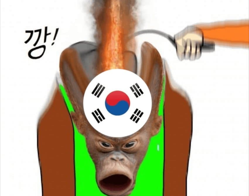 TertfT16813's tweet photo. @ku2000 한국 하루 평균 38마리가 자살한다네요? 

아직도 분단에 갇혀서 군대 조련당하는 엘로몽키들

Korea Land 초미세먼지 먹으면서 응원하자. https://t.co/phsP35z0Dd