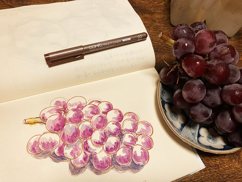 midorimintgreen's tweet photo. 知り合いが、きれいなぶどうを届けてくれました。
この間まで小夏だったのに、季節はすすんでいるんだね。暦の上では、もう「残暑」。
少し気温は下がったかなーと思うけど、まだまだ暑いですね。

#ぶどう　＃スケッチ　＃水彩画 https://t.co/0hShoeMWcg