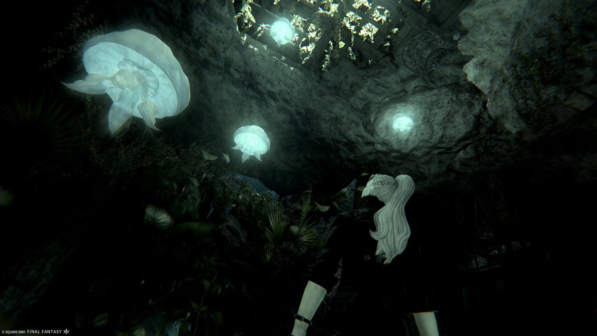 aurora_lupus's tweet photo. 母さんと写真撮るのいいなって思ってたら、しずさん(@Siz_Hakuya )がぼくの写真もかっこよく撮ってくれたよ！

#maypr_m https://t.co/PXiKu67LTg