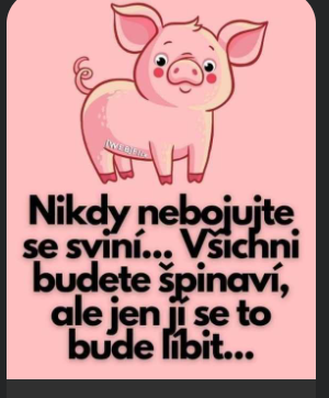 BorkaSykorka's tweet photo. Veru pravda. Držme sa jej... https://t.co/N6B5tIN91y