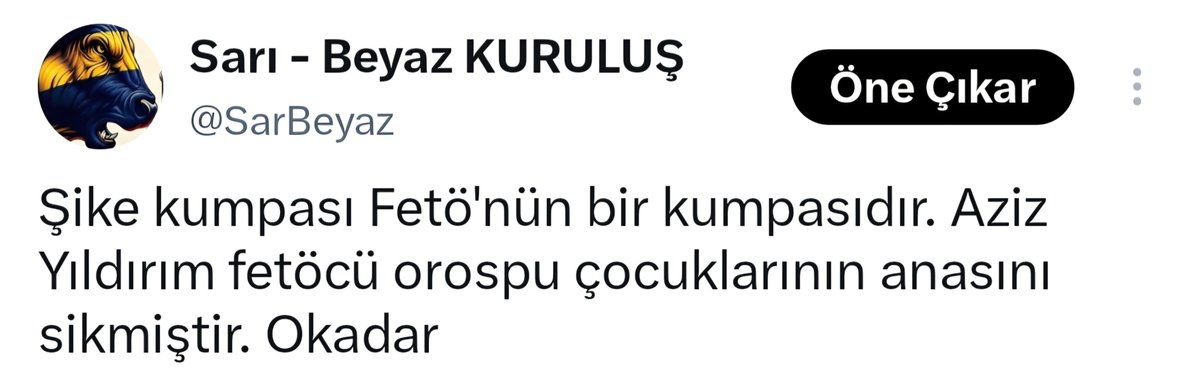 BullKalkhedon's tweet photo. @fatihSleymanol3 @samiltayyar27 https://t.co/HsmsFcof91