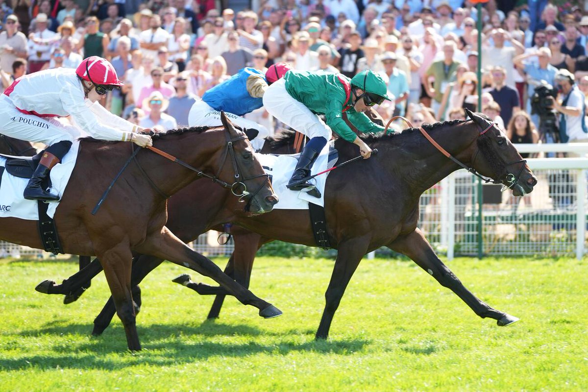 canalturf's tweet photo. 🏁Arrivée #pmu Arc Prix Maurice de Gheest  (Gr. I), dimanche 9 août à Deauville 
🏇SAMANGAN 🟢🔴résiste à toutes les attaques 
▶️https://t.co/Q5T0aShRJQ @GraffardRacing @AgaKhanStuds @mickaelbarzalon #resultatsDeauville