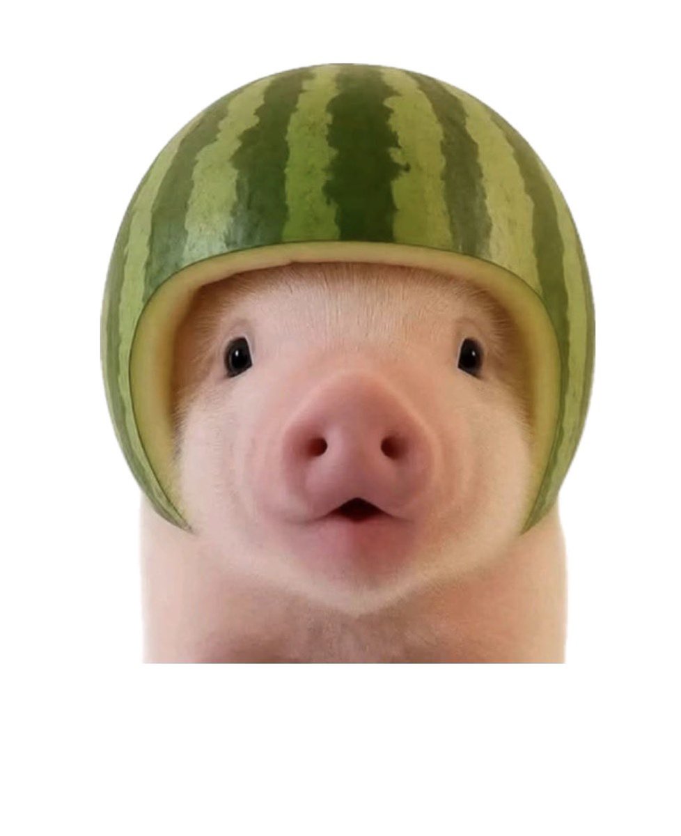 realnanax's tweet photo. รุแล้ว ใคเหมือนเหมือนหมูแตงโม https://t.co/tHSd0OaCq6