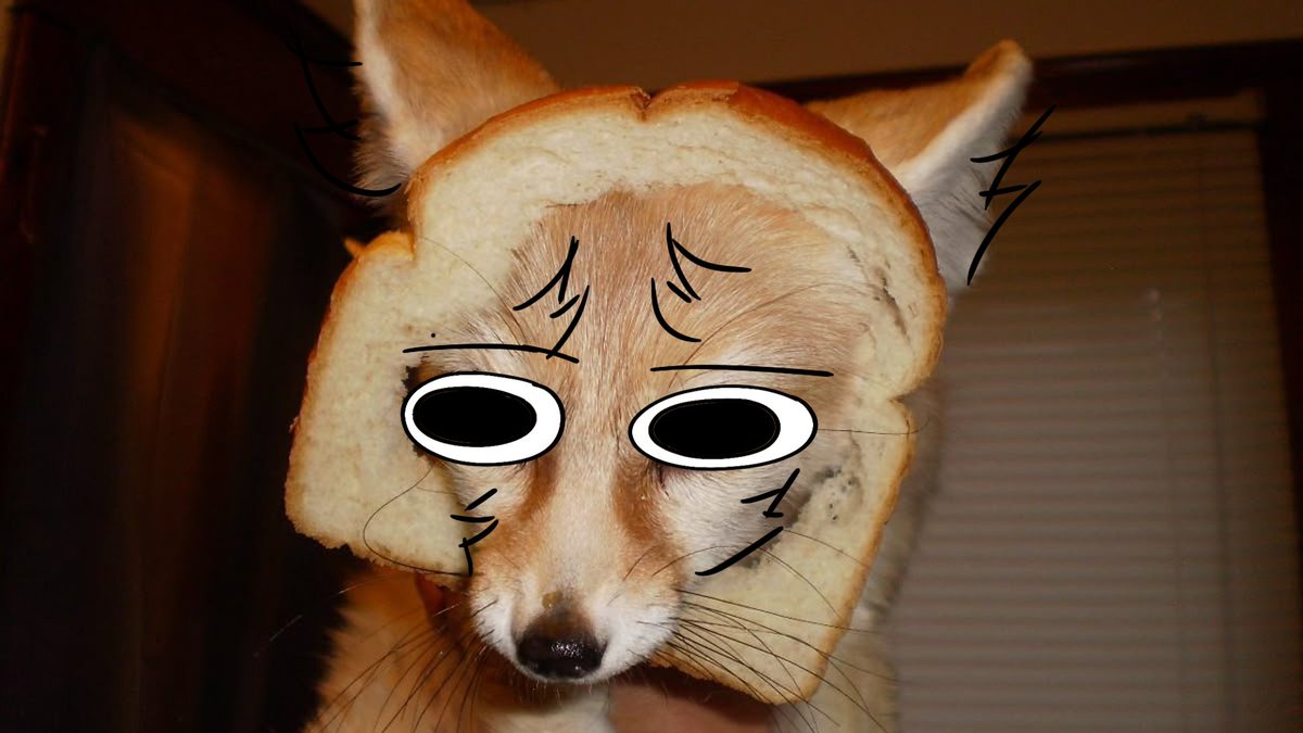 thecatidk's tweet photo. Bread #fox #animal #art https://t.co/9FA7pixb8Q