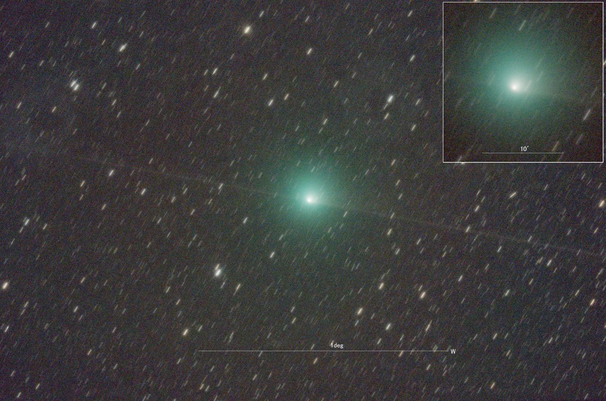 kumagayakimura's tweet photo. テンペル第２彗星  10P/Tempel 2

コマ径20′　８等
※フラットが合っていないがアップします
　
2026/08/05 23:27:57(JST)  05.602(UT)
ε-160ED+ASI2600MC Pro 2min×32 
2枚目　白黒反転
3枚目　RG処理
＠魚沼市(新潟県）
#cometcollection https://t.co/oqTBRflMLL
