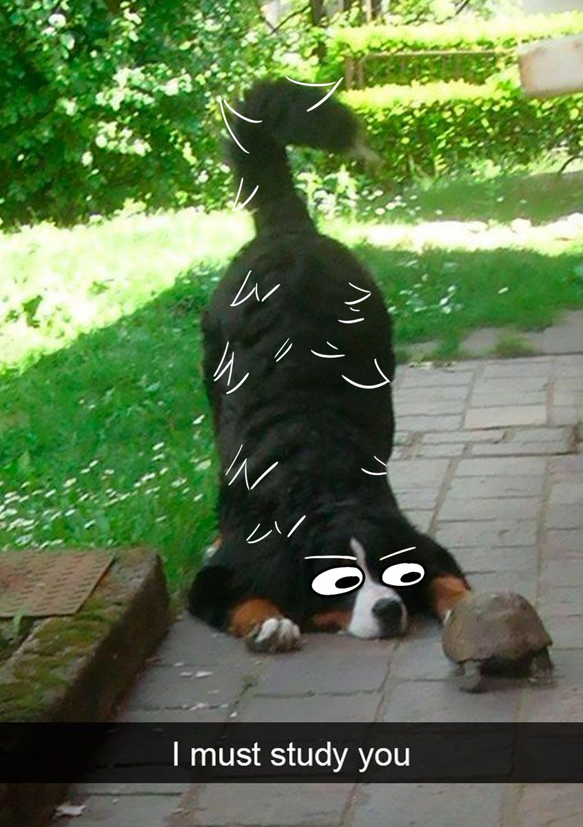thecatidk's tweet photo. #dog #animal #art https://t.co/dhwUHE0YlO