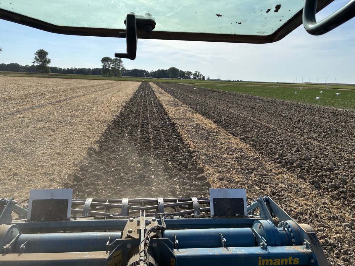hankoblok's tweet photo. Rondje op de #akker. Profielopbouw van de bodem en vochtvoorziening van enorm belang. Ook nu investeren we weer in de bodem door storende lagen te verwijderen en bewortelbare zone te vergroten. De knolselderij kan nog wel wat regen gebruiken. Soms heb je bandenpech😅. #teelt26 https://t.co/f6aVihPBDt