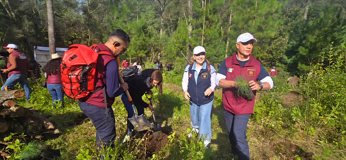 SEGOB_mx's tweet photo. Hoy comienza la #JornadaNacionalDeReforestación 2026, una acción que reúne a comunidades, instituciones y ciudadanía, para recuperar nuestros ecosistemas 🍃

Porque reforestar es cuidar el agua, proteger la biodiversidad y construir bienestar para todas y todos.

¡Sumemos esfuerzos por un #México más verde! 🌳