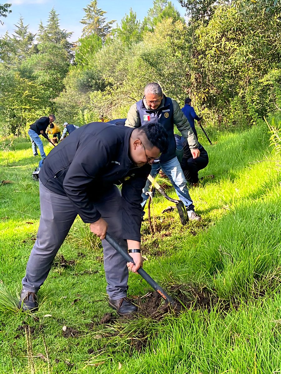 SEGOB_mx's tweet photo. Hoy comienza la #JornadaNacionalDeReforestación 2026, una acción que reúne a comunidades, instituciones y ciudadanía, para recuperar nuestros ecosistemas 🍃

Porque reforestar es cuidar el agua, proteger la biodiversidad y construir bienestar para todas y todos.

¡Sumemos esfuerzos por un #México más verde! 🌳