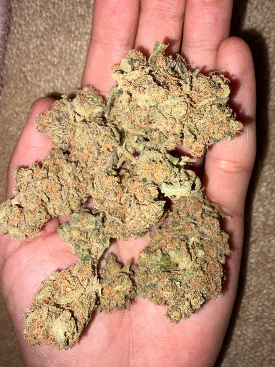 JoskyDs's tweet photo. Elite Single-Source Indoor, Diamond-Infused Extracts, and Next-Gen THCA Cartridges available in San Francisco, Denver, Portland, Seattle, Las Vegas, Boston, Phoenix, Miami, Chicago, and Detroit, USA , all over uk , Turkey, Switzerland #weed #vapas https://t.co/Ridvho85vW