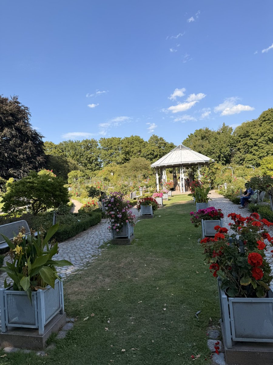 ElifGnen's tweet photo. Bu haftaki rotam: Planten un Blomen 🌺🌹 https://t.co/5tGBz0YoV8