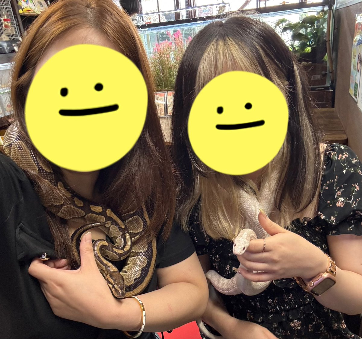 parm_mrap's tweet photo. 岩盤浴行ってリフレッシュして
動物カフェ行って
初めて蛇に巻き付かれたり
うさちゃんと触れ合ったり
氷食べたりした

まだ始まったばかりなのに最高のお盆休み✨ https://t.co/ulWZGq8RoN