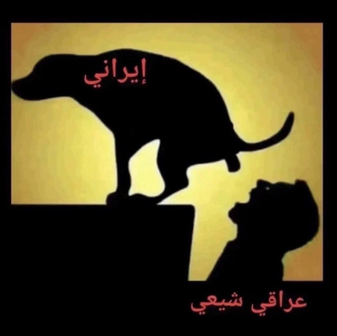 Al_anzee2's tweet photo. @ammar202573561 @shuoaibsss https://t.co/16jqbRVBMD