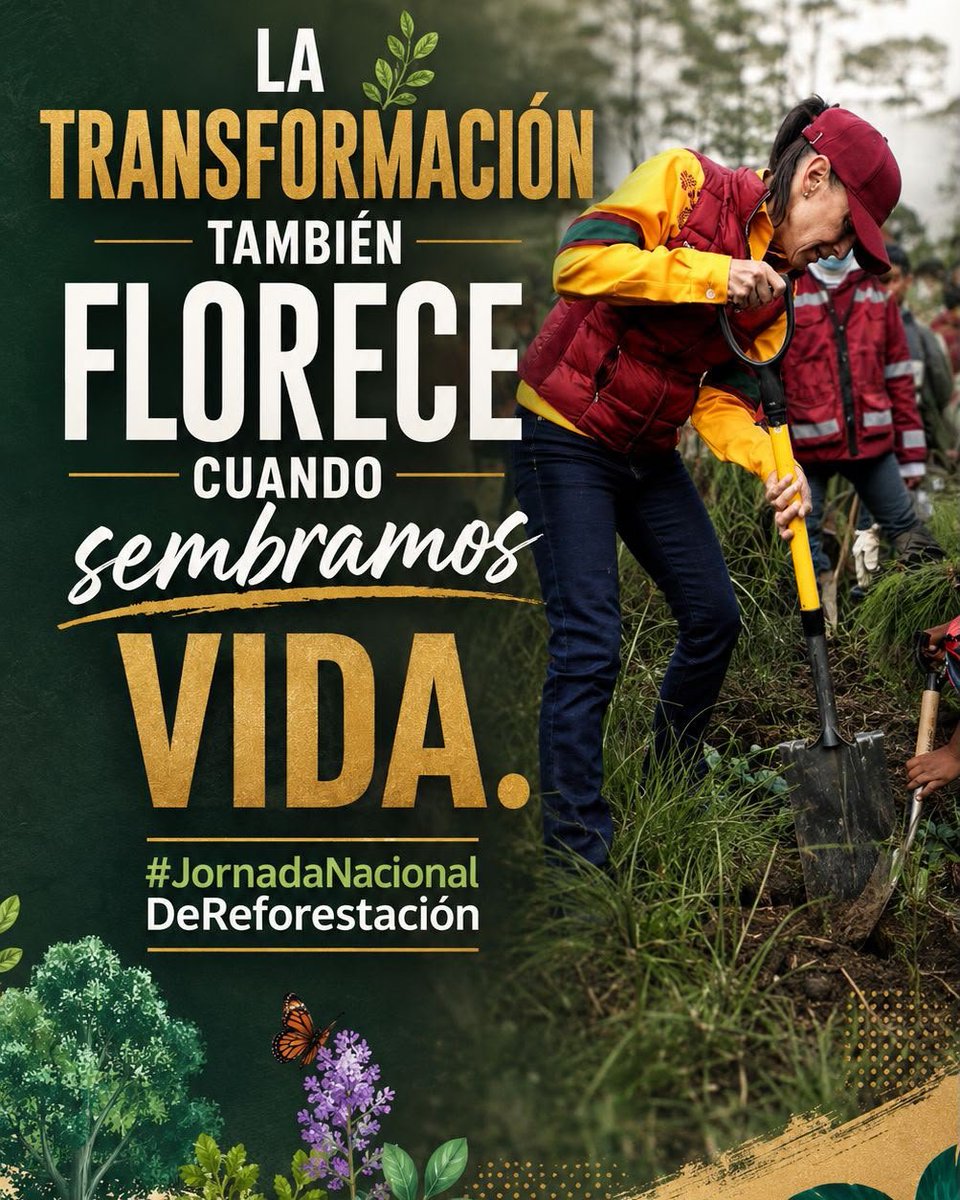 marthacru's tweet photo. Bosques, selvas y manglares sanos significan más vida, más agua y más bienestar para todas y todos.#JornadaNacionalDeReforestación https://t.co/w2ZtNitopp