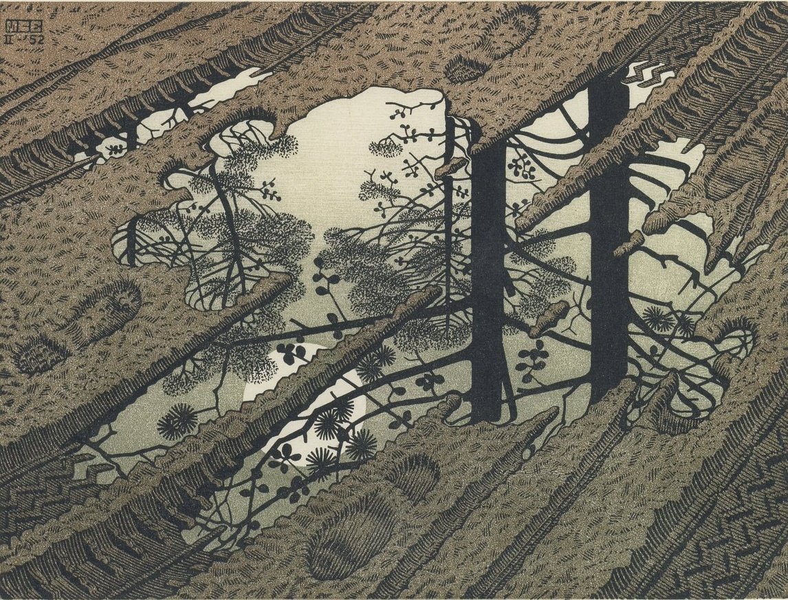 FedeItaliano76's tweet photo. 'Puddle' (1952) by M. C. Escher https://t.co/KU5KtcOIk9