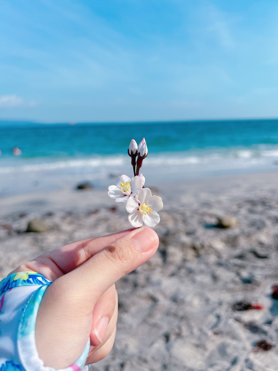 lpo_on's tweet photo. 海の女たちに海に連れて行ってもらった！！
良い息抜きになりました✨😌🪼🍦 https://t.co/16vUZZExv7
