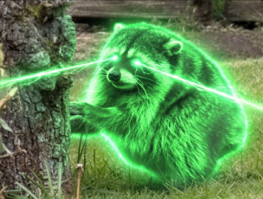TraderAzor's tweet photo. This is the raccoon which has potential to surprise u anytime with fuck u candle 

Know what you hold and stay positioned $Jimothy 

You already saw the teaser yesterday🦝 https://t.co/zH8M5RhUnw