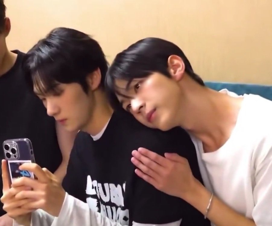 koinudohoon's tweet photo. 자석펫 시절. . . . . .  울컥 https://t.co/Pq3IGJPuO5