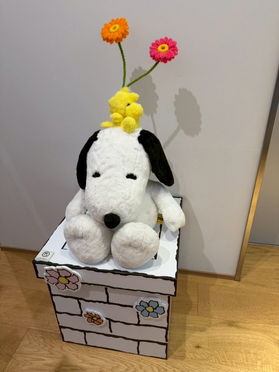 nc1982nc's tweet photo. 8月10日
ハッピーバースデー
スヌーピー♡

いつもかわいくて
わたしを癒やしてくれてありがとぅ。
大好き♡

2026.8.10

#スヌーピー誕生日
#happybirthdaysnoopy
#8月10日
#スヌーピーバースデー
#スヌーピー https://t.co/chiDLXwRJg