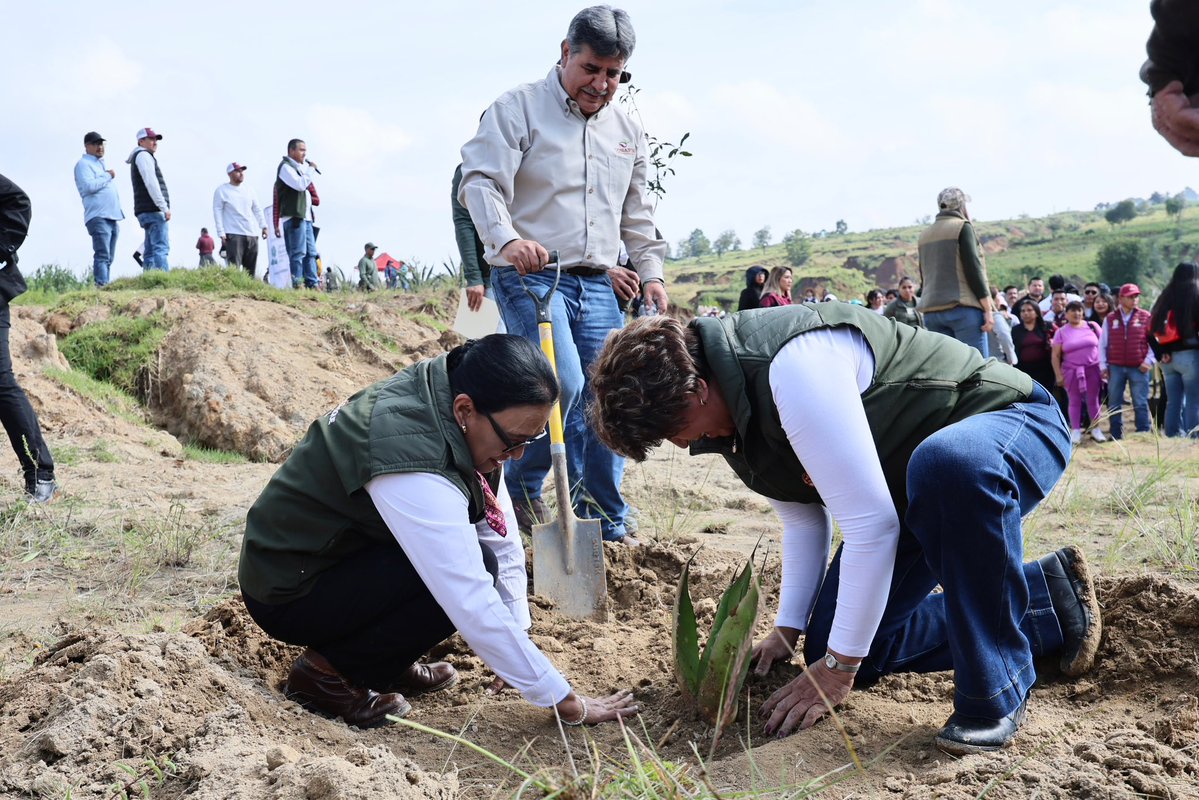 rosaicela_'s tweet photo. Este domingo participamos con entusiasmo, junto con la gobernadora del @Edomex, @delfinagomeza, en la #JornadaNacionalDeReforestación convocada por la Presidenta @Claudiashein. Cada árbol representa vida, esperanza y futuro para nuestro país. 🇲🇽 🌲 🌳 @SEMARNAT_mx @Agricultura_mex @bienestarmx @Defensamx1 @SEMAR_mx @CONAFOR @semvidamx
