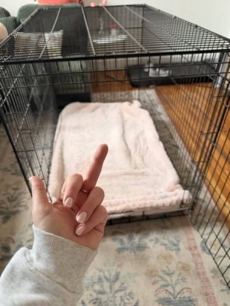 Misamelia404's tweet photo. I want a slave to be my literal DOG. Sleeping in a CAGE…

…eating DOG FOOD when I remember to FEED it, who's my pup?😈🥵

#findom #feet #blackmail #CNC #TPE #femdom #sissy #paypig #cashcow #execution #Ballbusting https://t.co/FsqTHQamyt