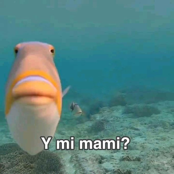 barbie_context's tweet photo. yo apenas llego a casa: https://t.co/hoDcIlZlKg