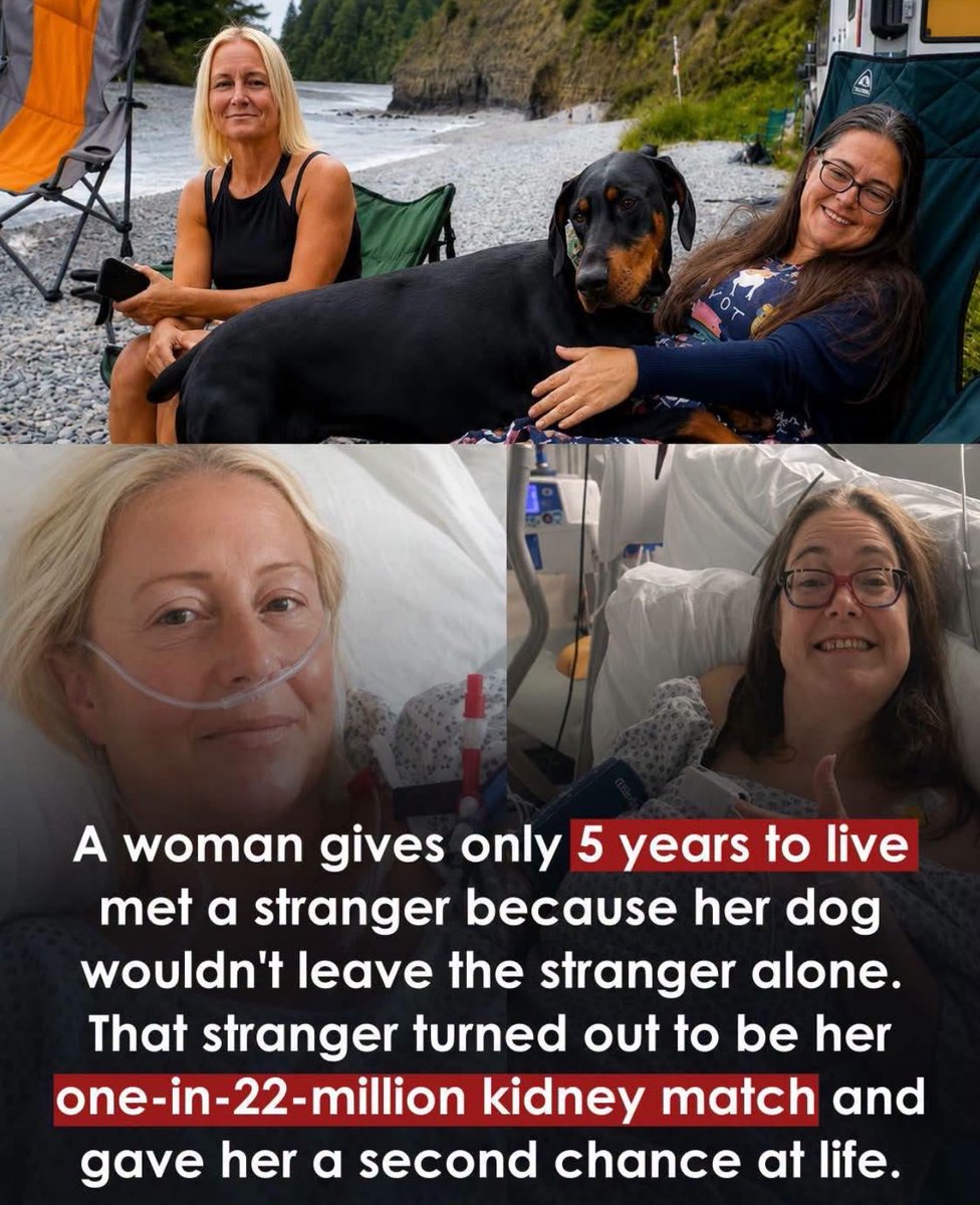 kirawontmiss's tweet photo. God sent that dog🙏 https://t.co/XGlEBfQgpk